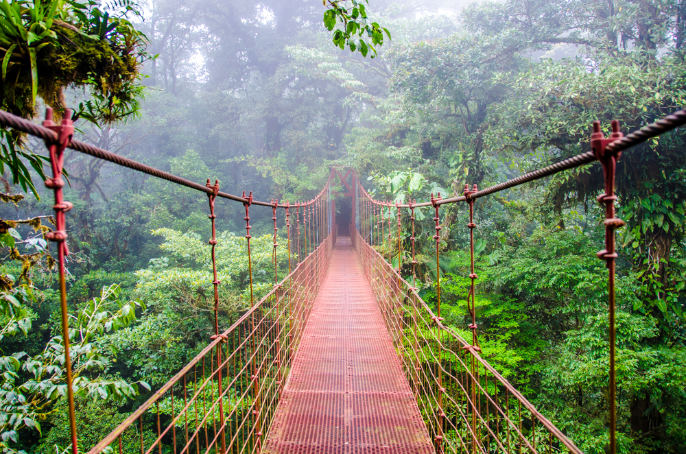 monteverde costa rica destinos experiencias